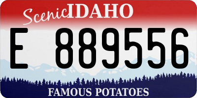 ID license plate E889556