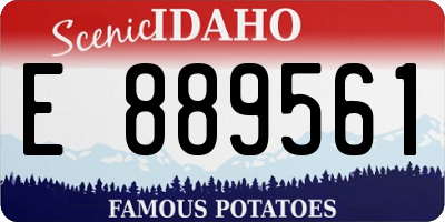 ID license plate E889561