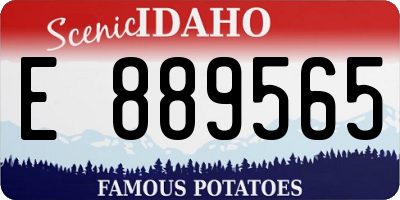 ID license plate E889565