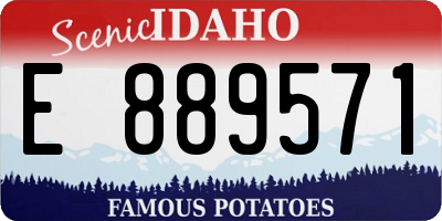 ID license plate E889571
