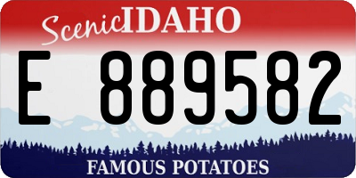 ID license plate E889582