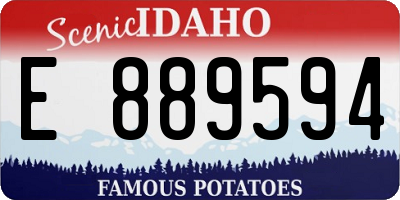 ID license plate E889594