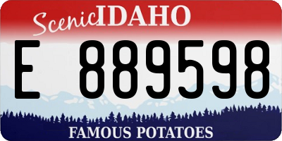 ID license plate E889598
