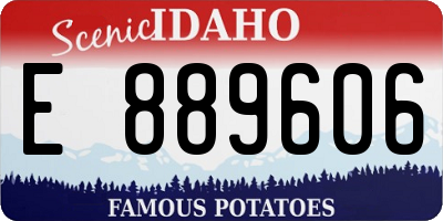 ID license plate E889606