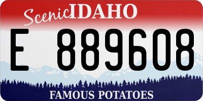 ID license plate E889608