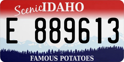 ID license plate E889613
