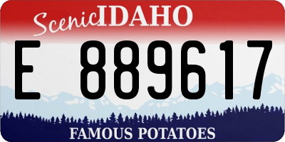 ID license plate E889617