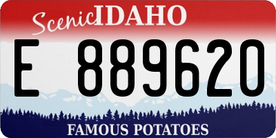 ID license plate E889620