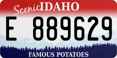 ID license plate E889629