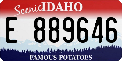 ID license plate E889646