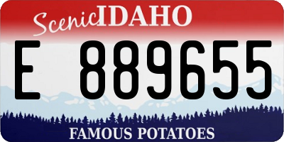 ID license plate E889655