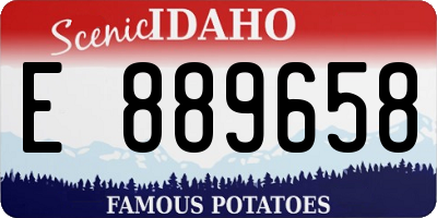 ID license plate E889658