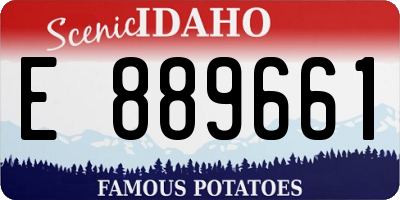 ID license plate E889661