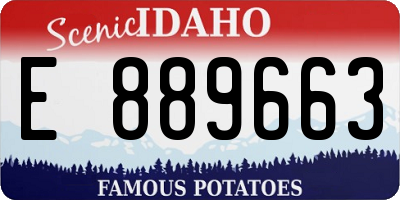 ID license plate E889663