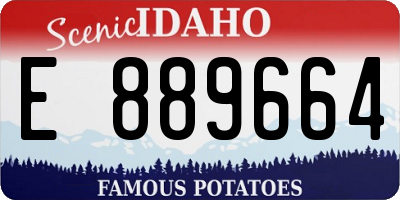 ID license plate E889664