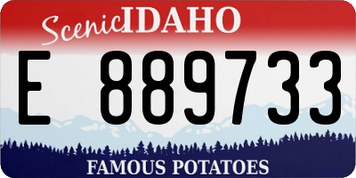 ID license plate E889733