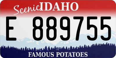 ID license plate E889755