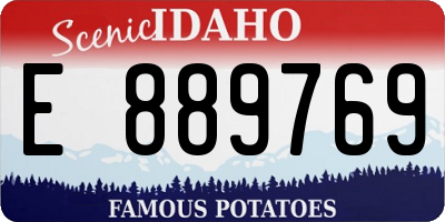ID license plate E889769