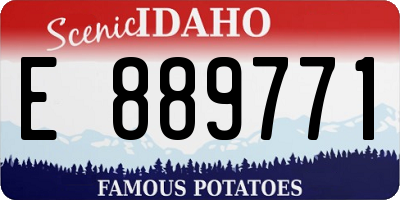 ID license plate E889771