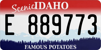 ID license plate E889773