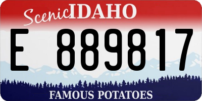 ID license plate E889817