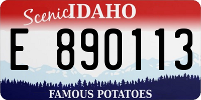 ID license plate E890113