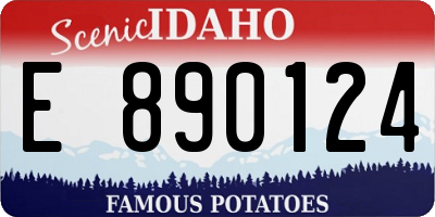 ID license plate E890124