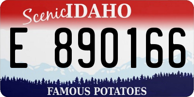 ID license plate E890166