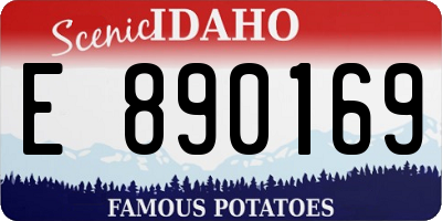 ID license plate E890169