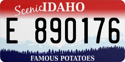 ID license plate E890176