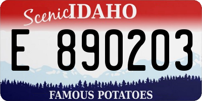ID license plate E890203