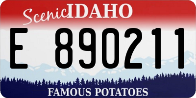 ID license plate E890211