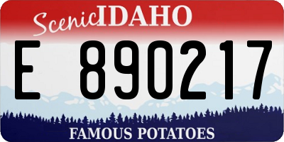 ID license plate E890217