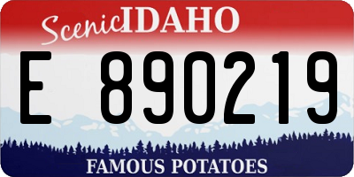 ID license plate E890219