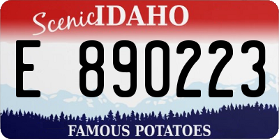 ID license plate E890223