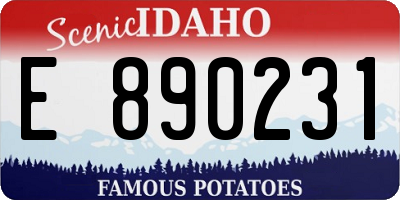 ID license plate E890231