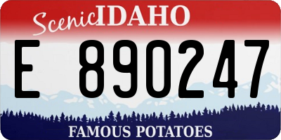 ID license plate E890247