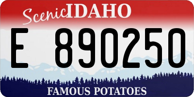 ID license plate E890250