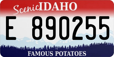 ID license plate E890255