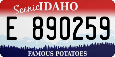 ID license plate E890259