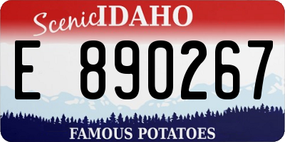 ID license plate E890267