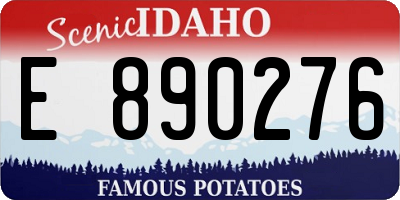 ID license plate E890276
