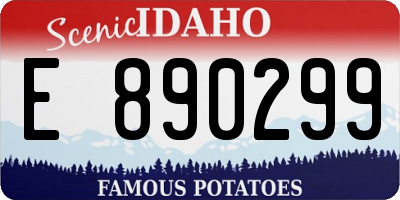 ID license plate E890299