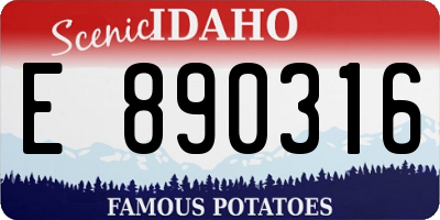 ID license plate E890316
