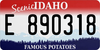 ID license plate E890318