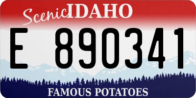 ID license plate E890341