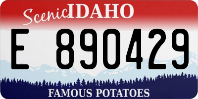 ID license plate E890429