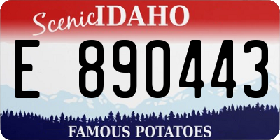 ID license plate E890443