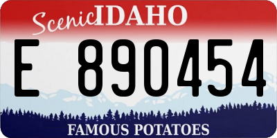 ID license plate E890454