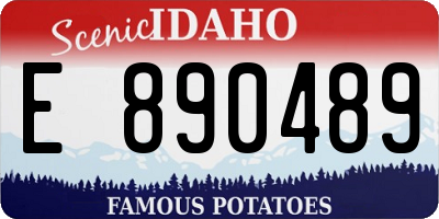 ID license plate E890489